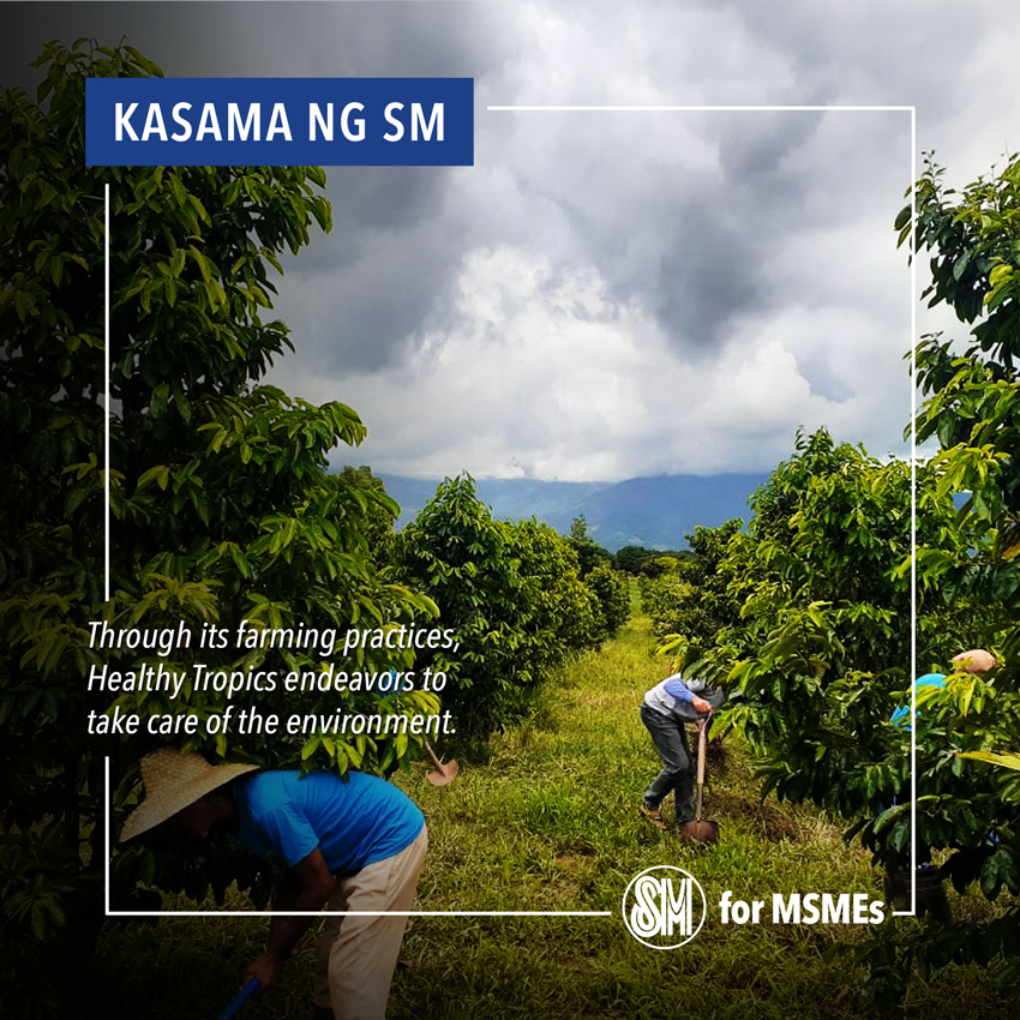 3_healthy_tropics_v3