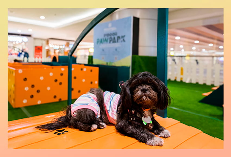 SM Indoor Paw Park, Indoor Paw Park at SM, Indoor Paw Park, The Work Space at SM, The Work Space, Mall Events, Safe Malling at SM, SM Safe Malling, Safe Malling, SM Megamall, Megamall, SM, SM Supermalls, Mega Fashion Hall