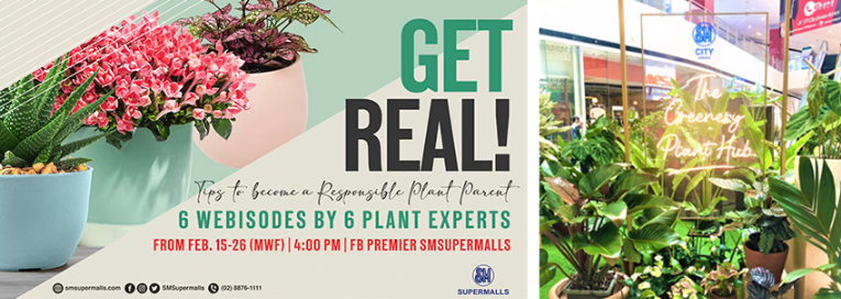 SM, SM Supermalls, Asia-Pacific Stevie Awards, SM Group, Safe Malling at SM, SM Plant Fest