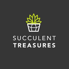 SUCCULENT TREASURES