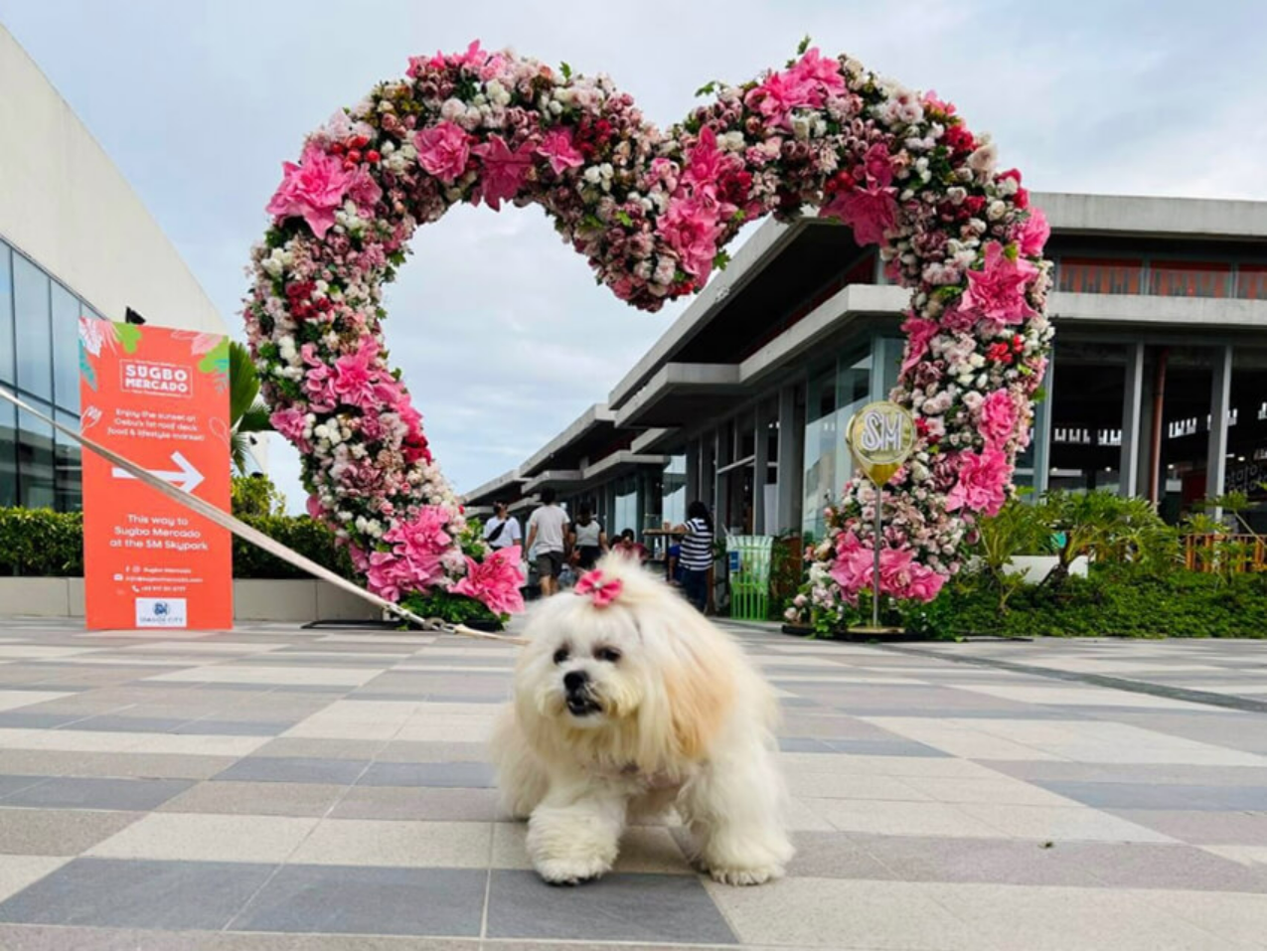 lovin_at_first_sight_the_answer_to_your_wtg_this_feb_14_2