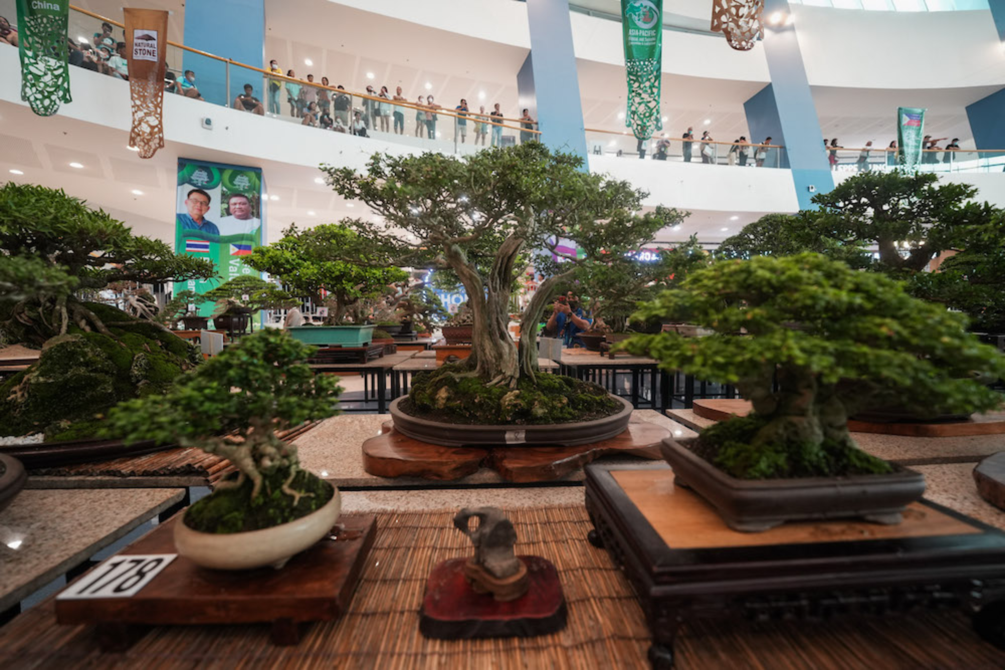 Over 300 bonsai trees on display at the Music Hall of SM Mall of Asia | SM Supermalls