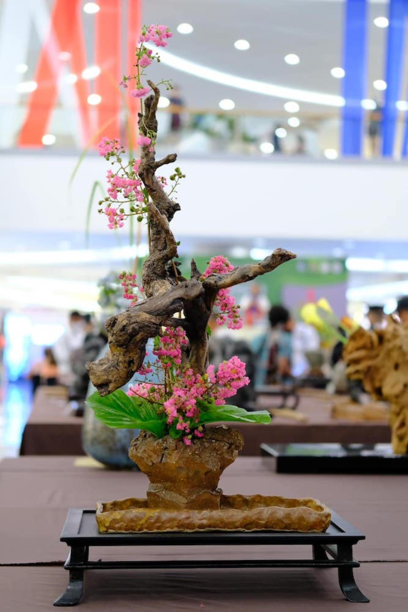 Ikebana, Japanese flower arrangement at Bonsai Exhibit, SM MOA Music Hall | SM Supermalls