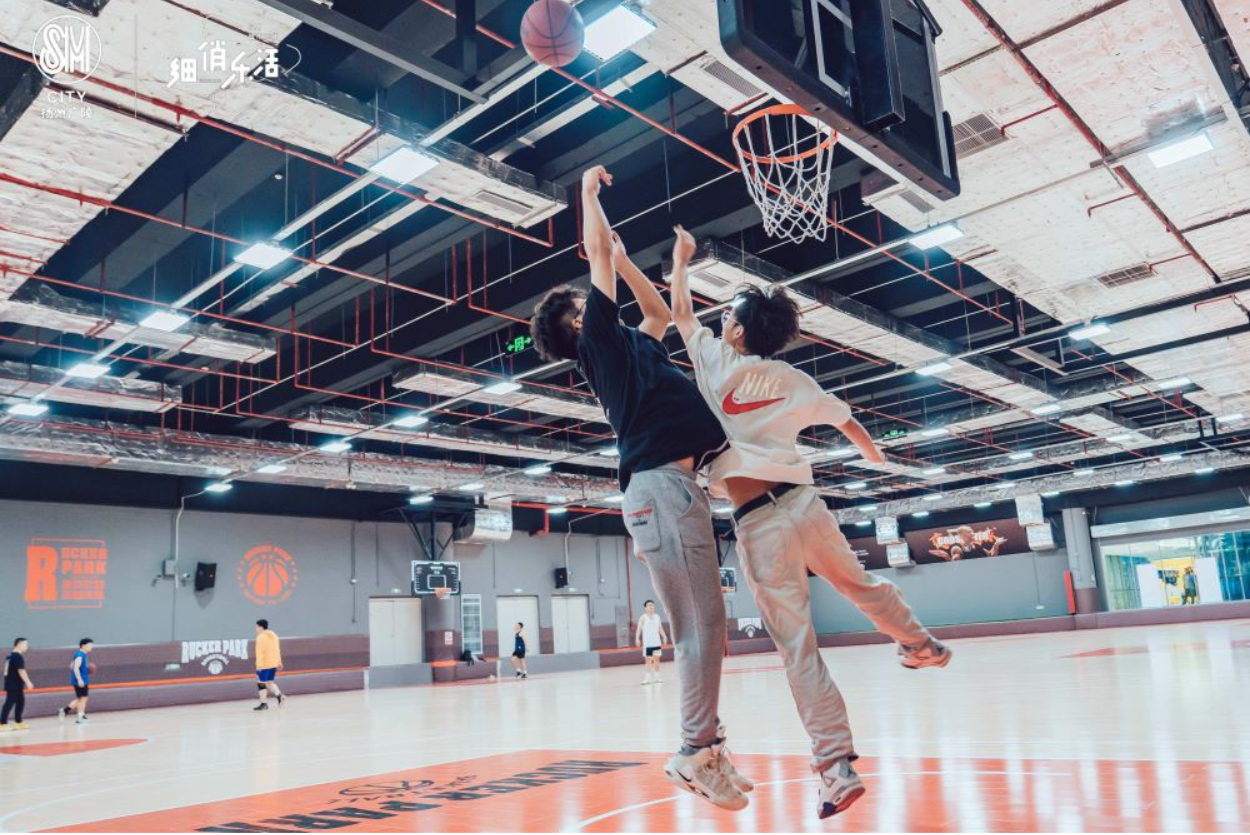 Rucker_Park_is_a_large_scale_indoor_basketball_sports_complex