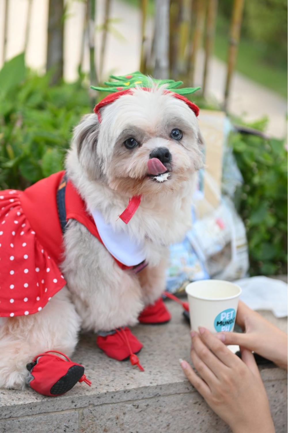 A_furry_guest_indulges_in_a_delicious_treat