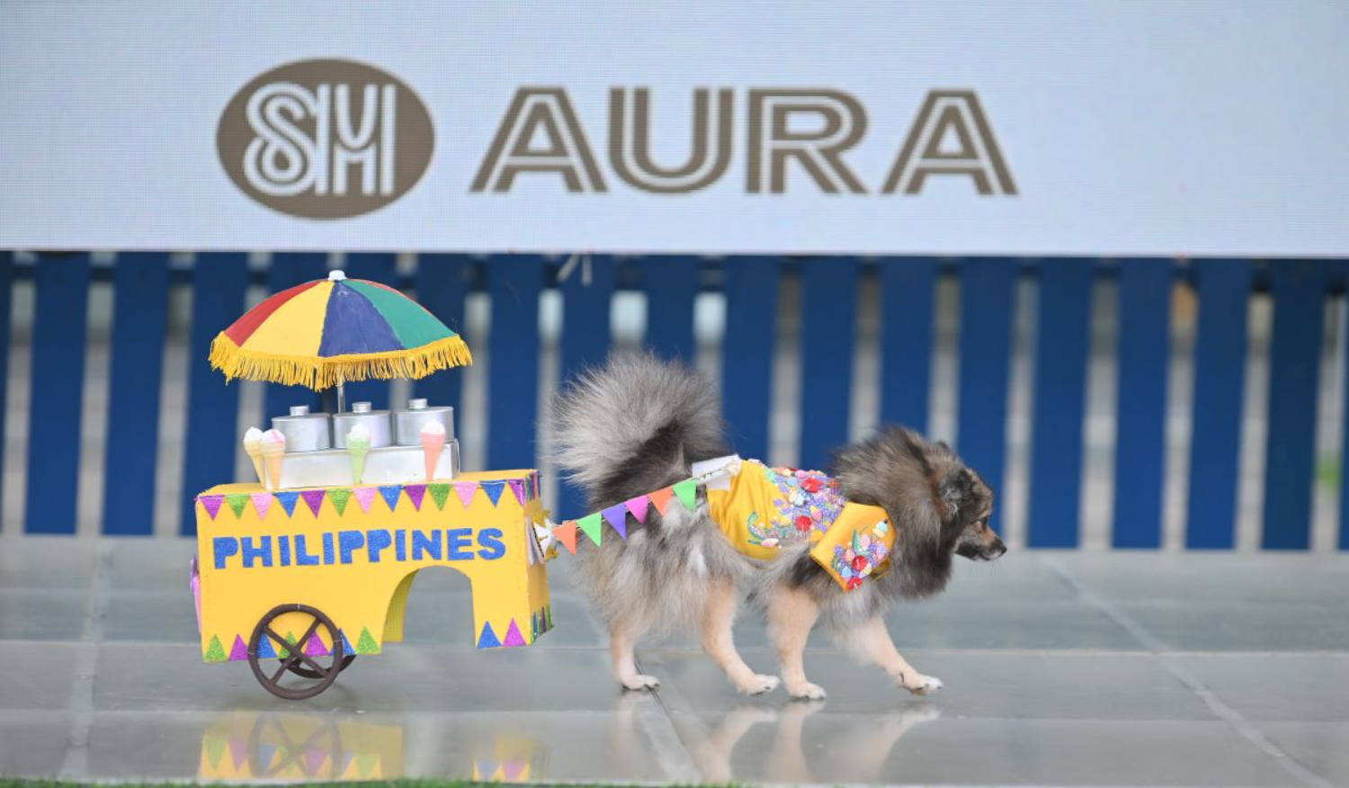 A_precious_dog_transforms_into_an_ice_cream_vendor