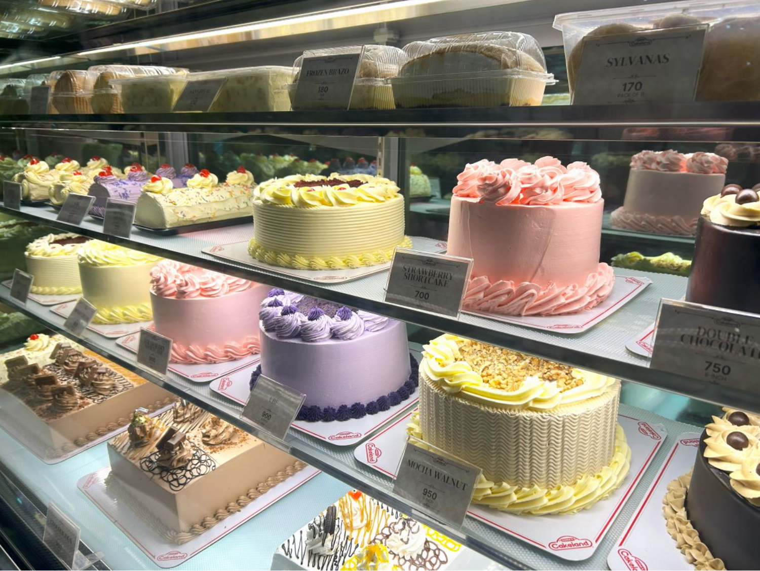 smtb_ednas_cakeland_cake_display